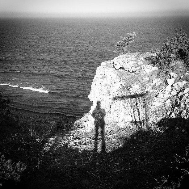 Förhandsvisning av bild